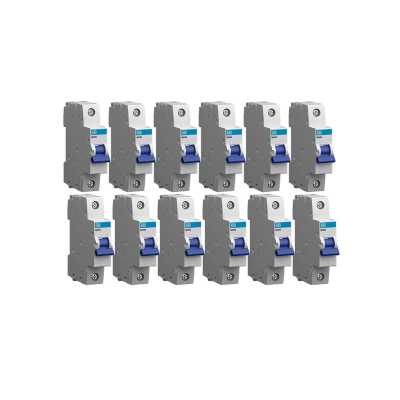 kit 12 minidisjuntor termomag mdw curva b weg1